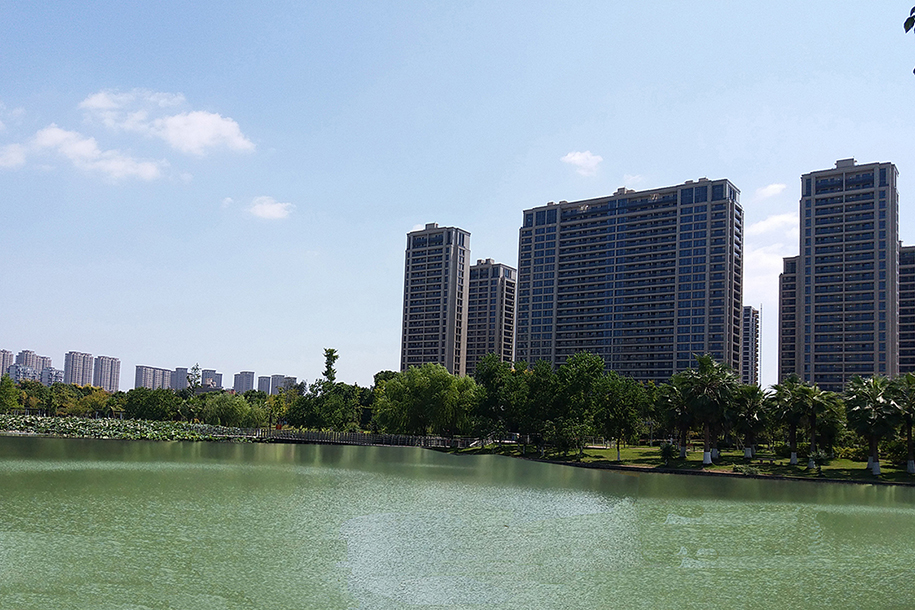 大发168平台app下载安装